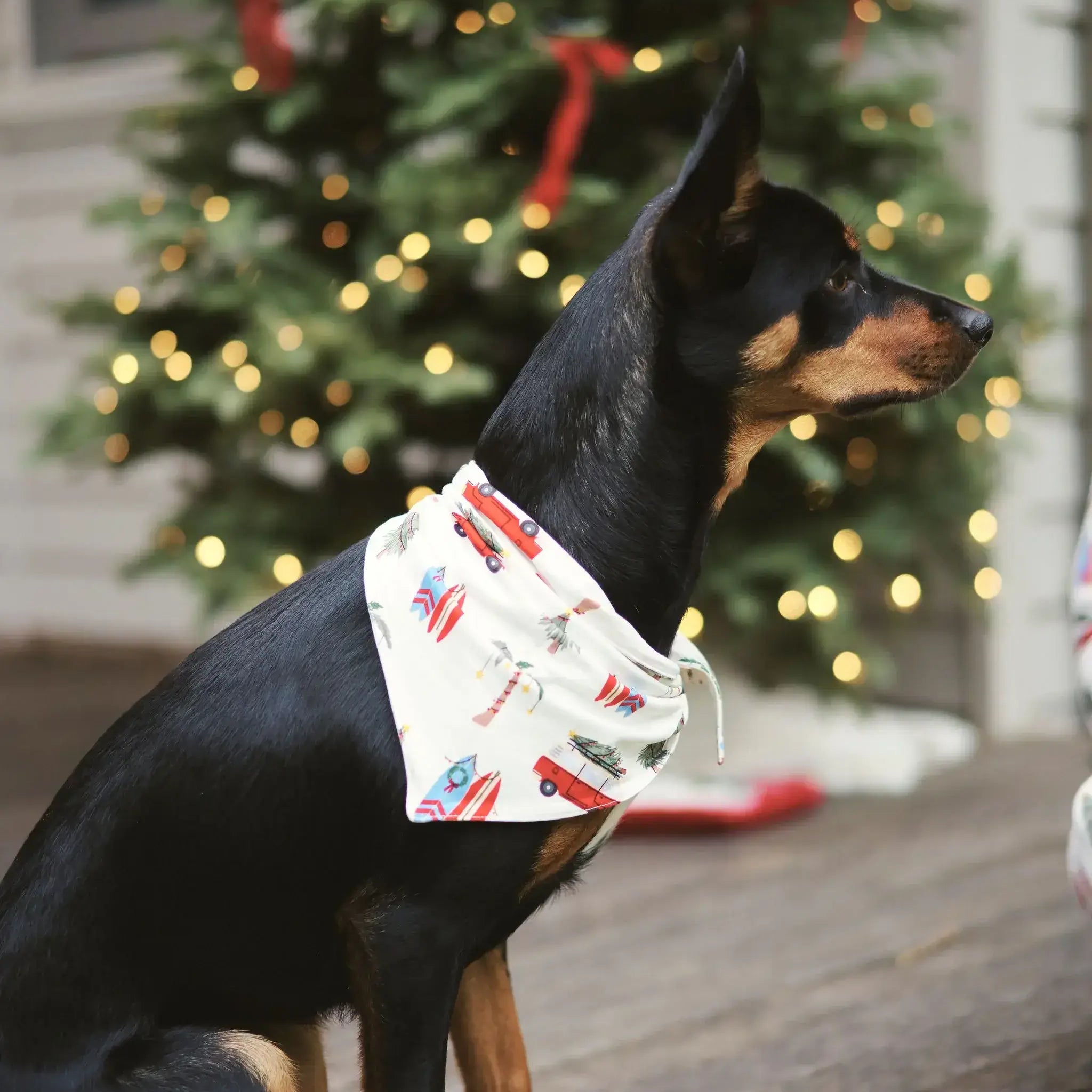 dog or cat christmas print beachy bandana bamboo Bambi & Birdie