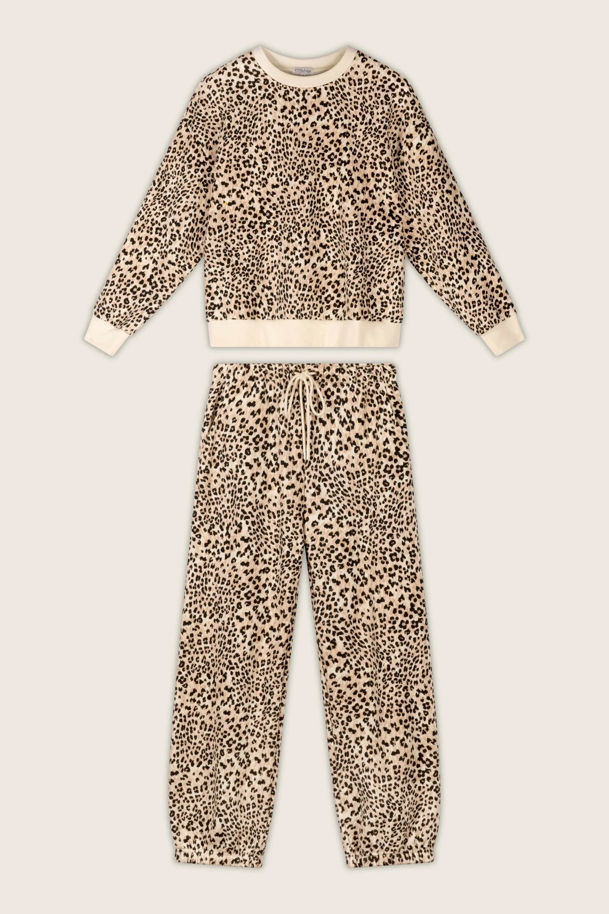 PJ Salvage C'est La Vie Leopard Fleece Set sweatshirt and pants styled together — Cloud Nine Pajamas