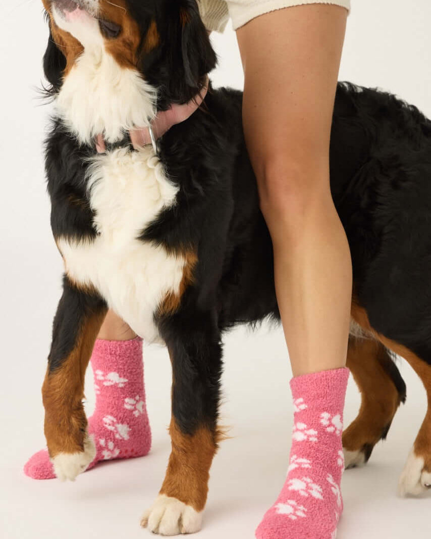 Pair of PJ Salvage Pink Fuzzy Cozy Socks with the adorable all-over paw print design. Showing the plush texture and mid-height crew cut.