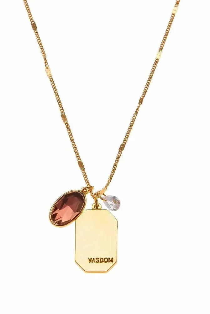 Birthstone Charm Necklace in 14k Plated Gold featuring February amethyst stone and wisdom tag by Foxy Originals.