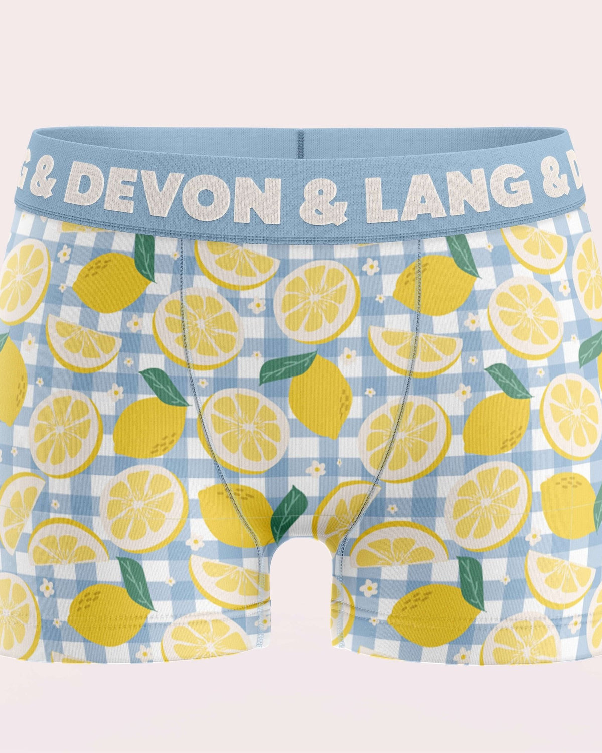 Devon + Lang Bria Boyshort Underwear