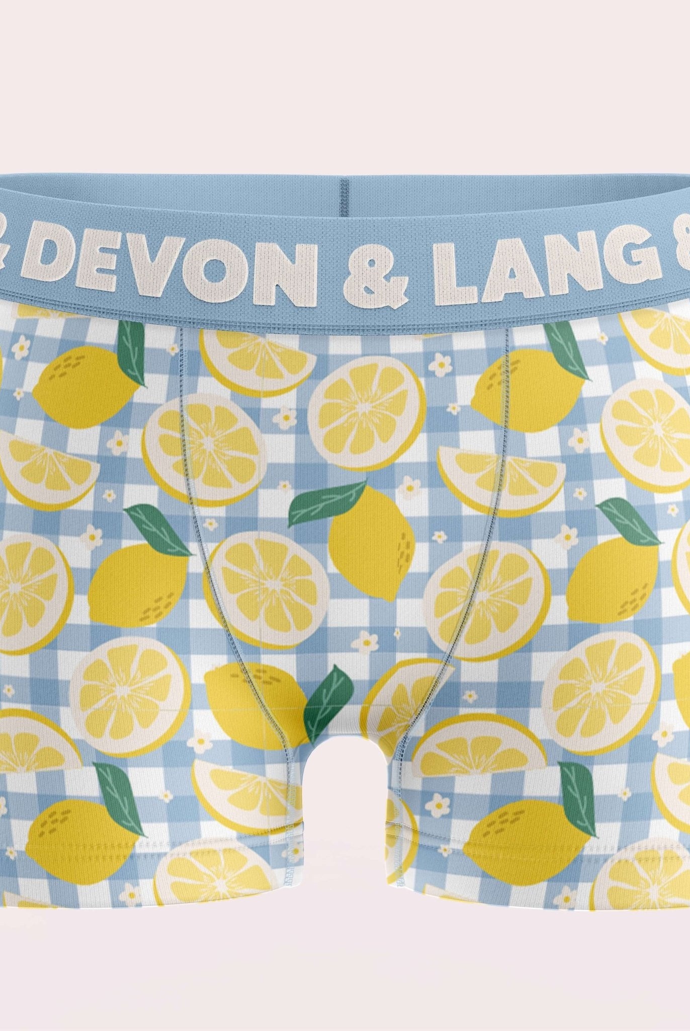 Devon + Lang Bria Boyshort Underwear