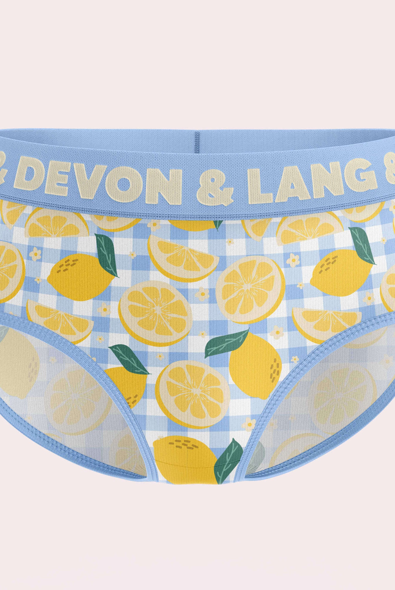 Devon + Lang Bria Full Coverage Bikini Brief featuring a lemon print design and a light blue waistband.