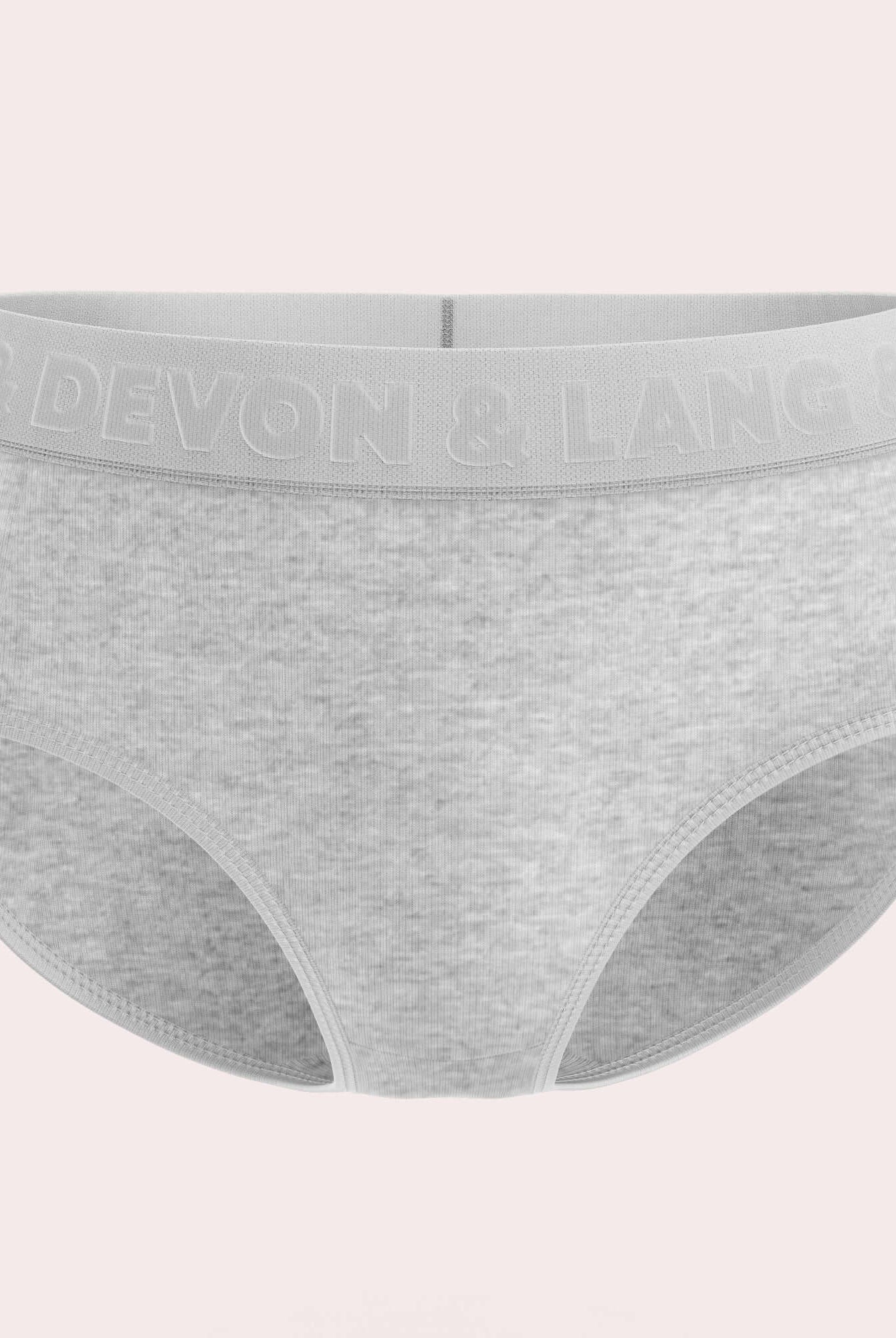 Devon + Lang Bria Full Coverage Bikini Brief in grey, featuring a comfortable waistband and made from premium modal material.