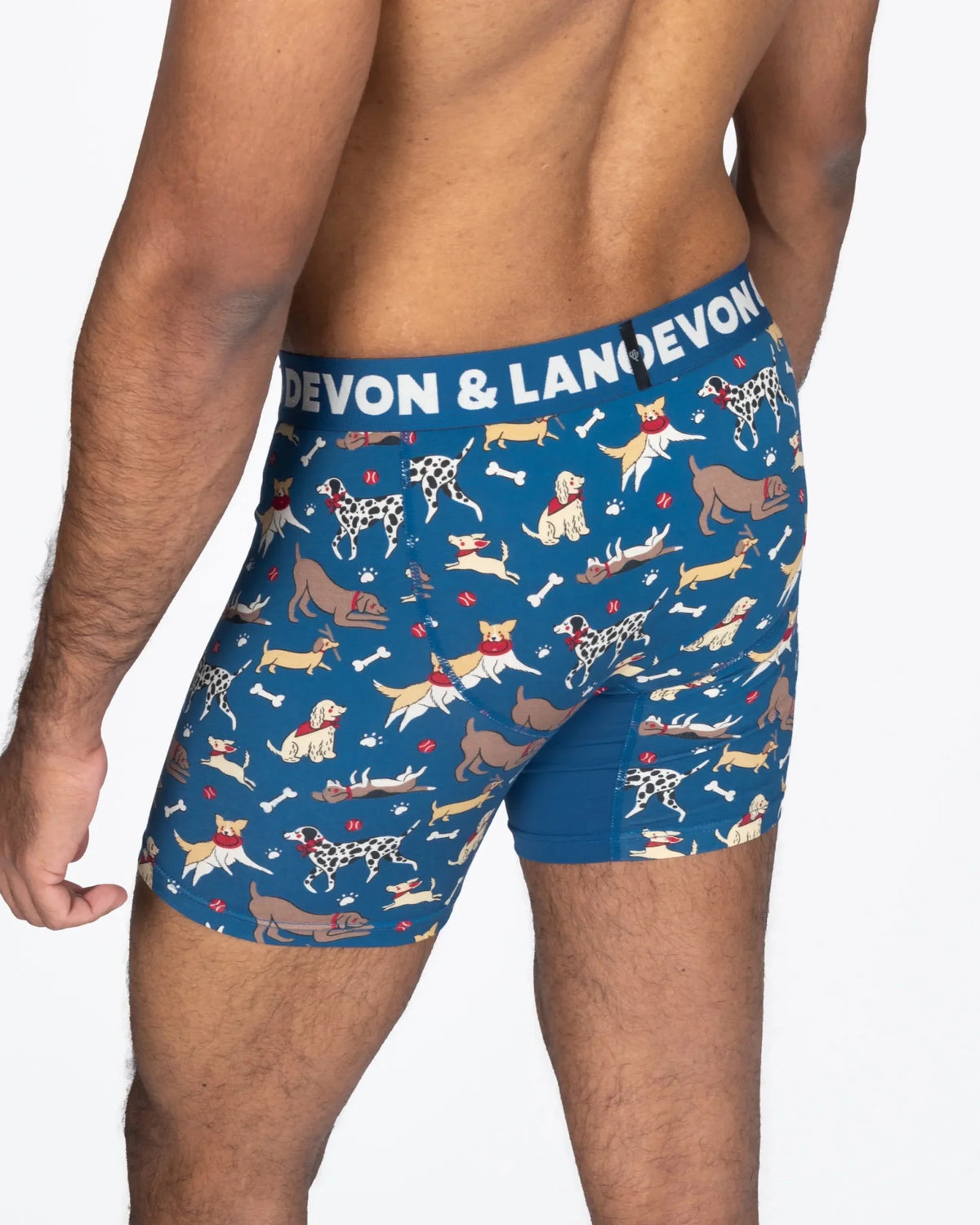 Devon + Lang Journey Boxer Brief | 6" Inseam | Men's Modal Underwear -Devon + Lang- Cloud Nine Pajamas
