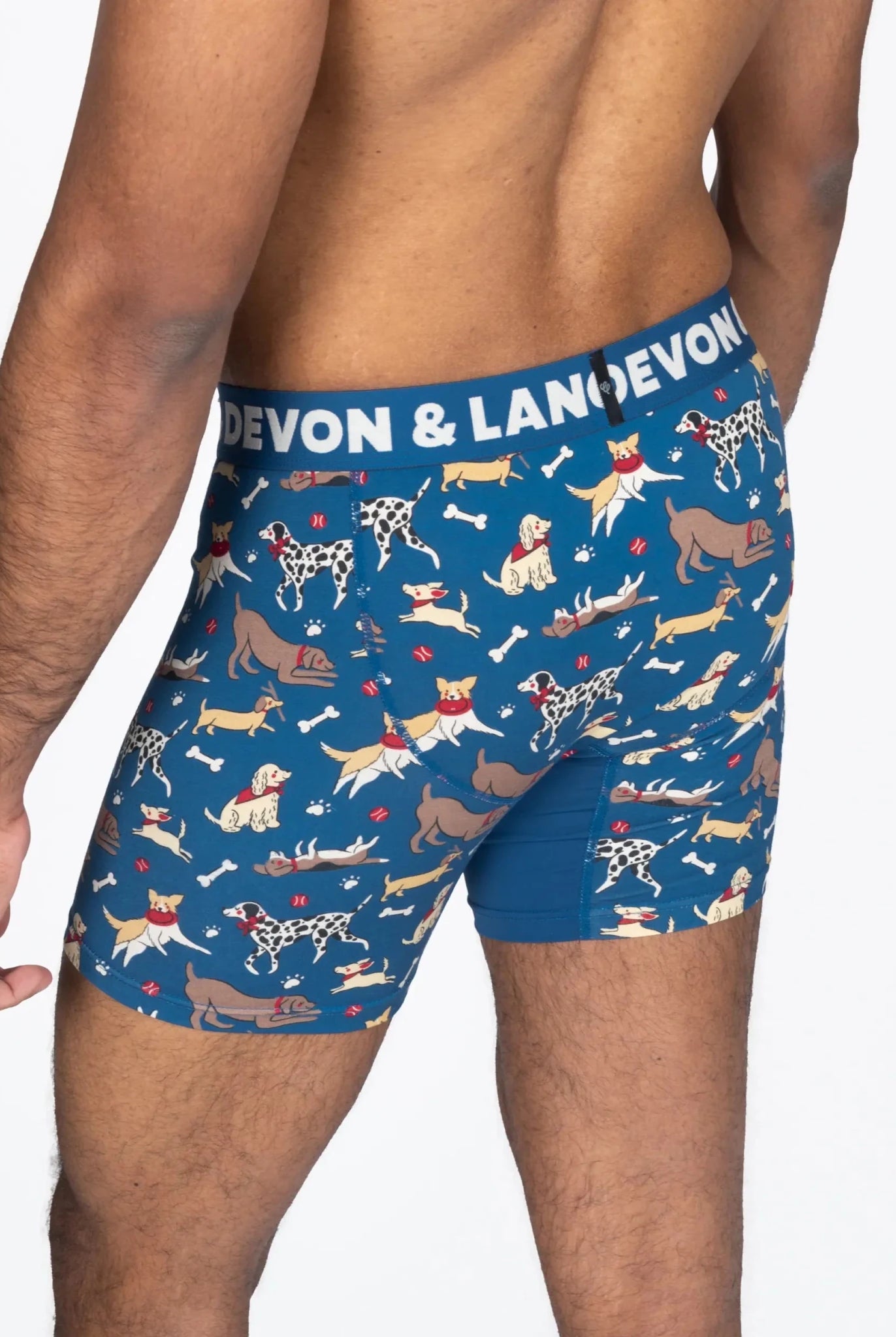 Devon + Lang Journey Boxer Brief | 6" Inseam | Men's Modal Underwear -Devon + Lang- Cloud Nine Pajamas