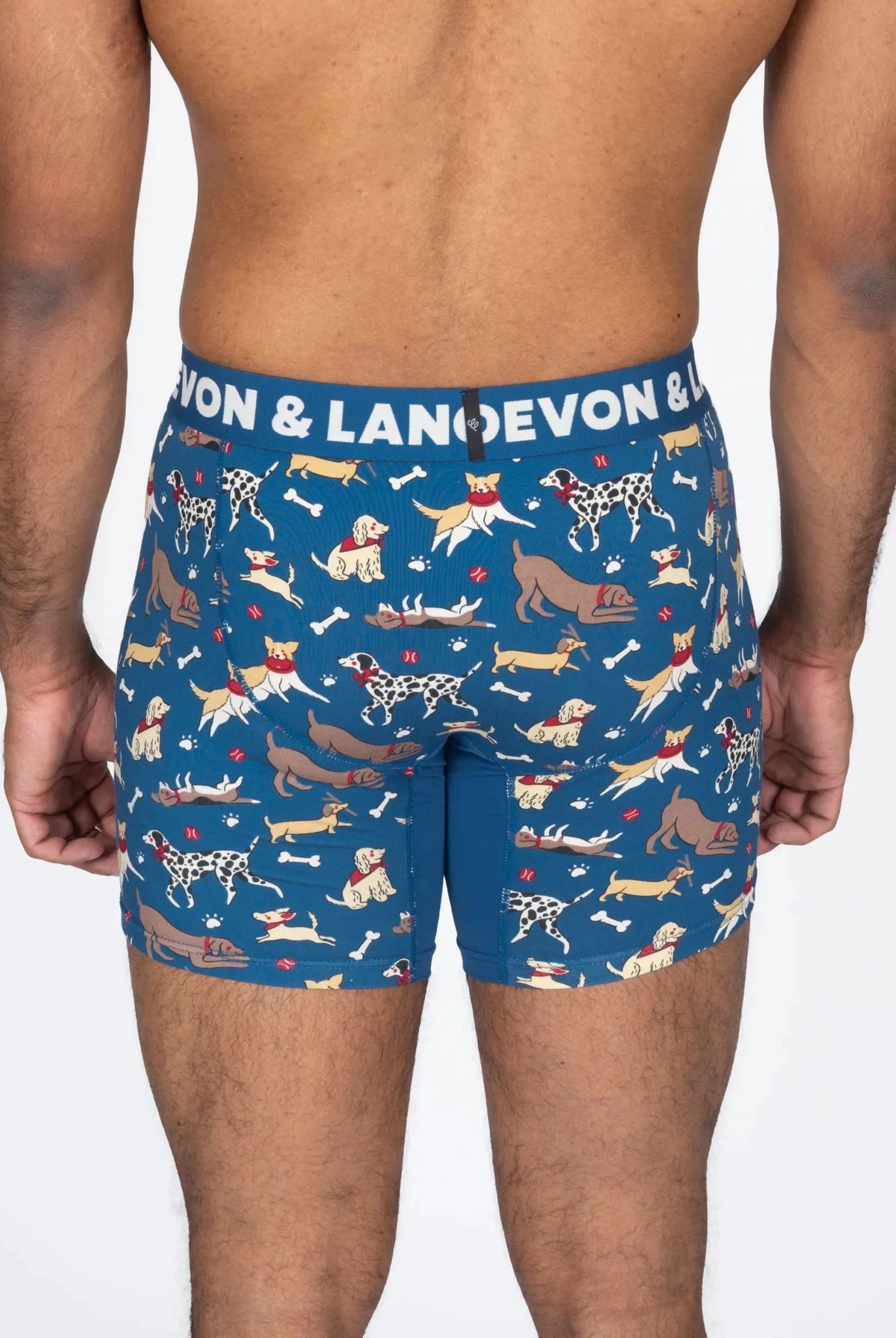 Devon + Lang Journey Boxer Brief | 6" Inseam | Men's Modal Underwear -Devon + Lang- Cloud Nine Pajamas