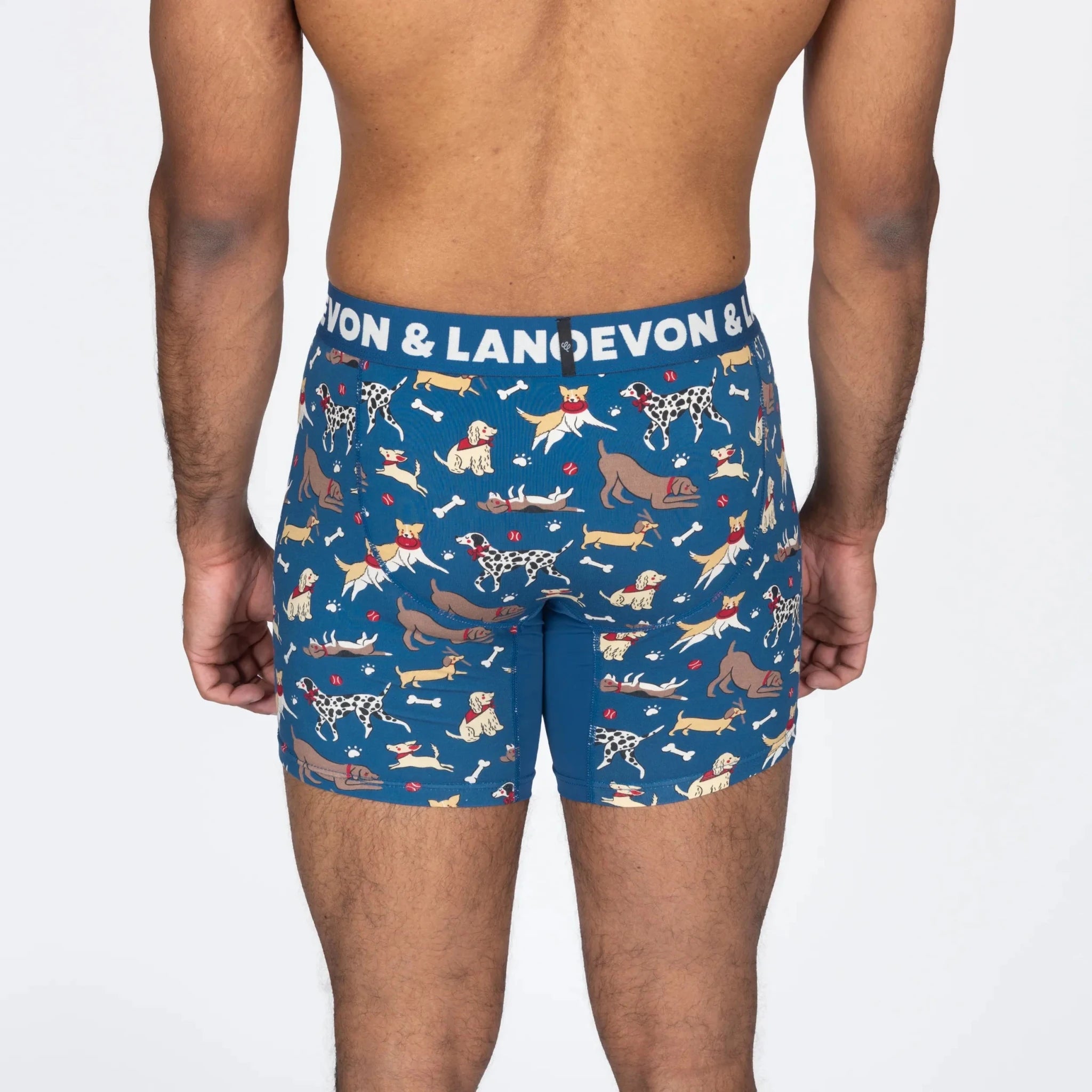 Devon + Lang Journey Boxer Brief | 6" Inseam | Men's Modal Underwear -Devon + Lang- Cloud Nine Pajamas