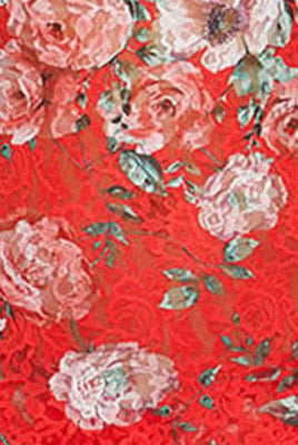 holiday blossom lace floral red green white hanky panky low rise thong