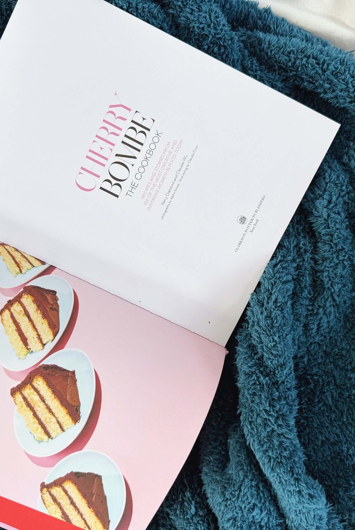 Open book with dessert illustration on a teal blanket