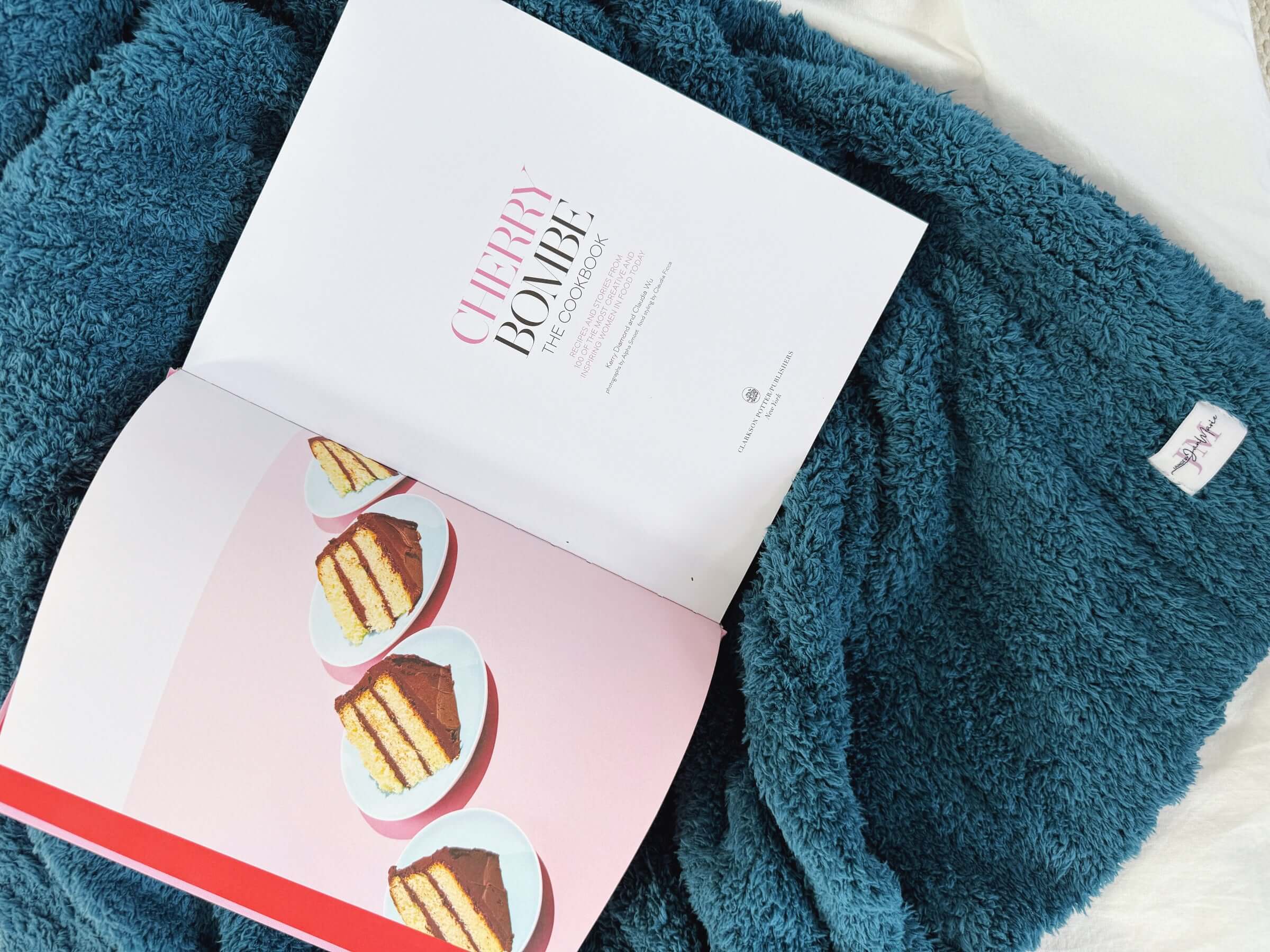 Open book with dessert illustration on a teal blanket