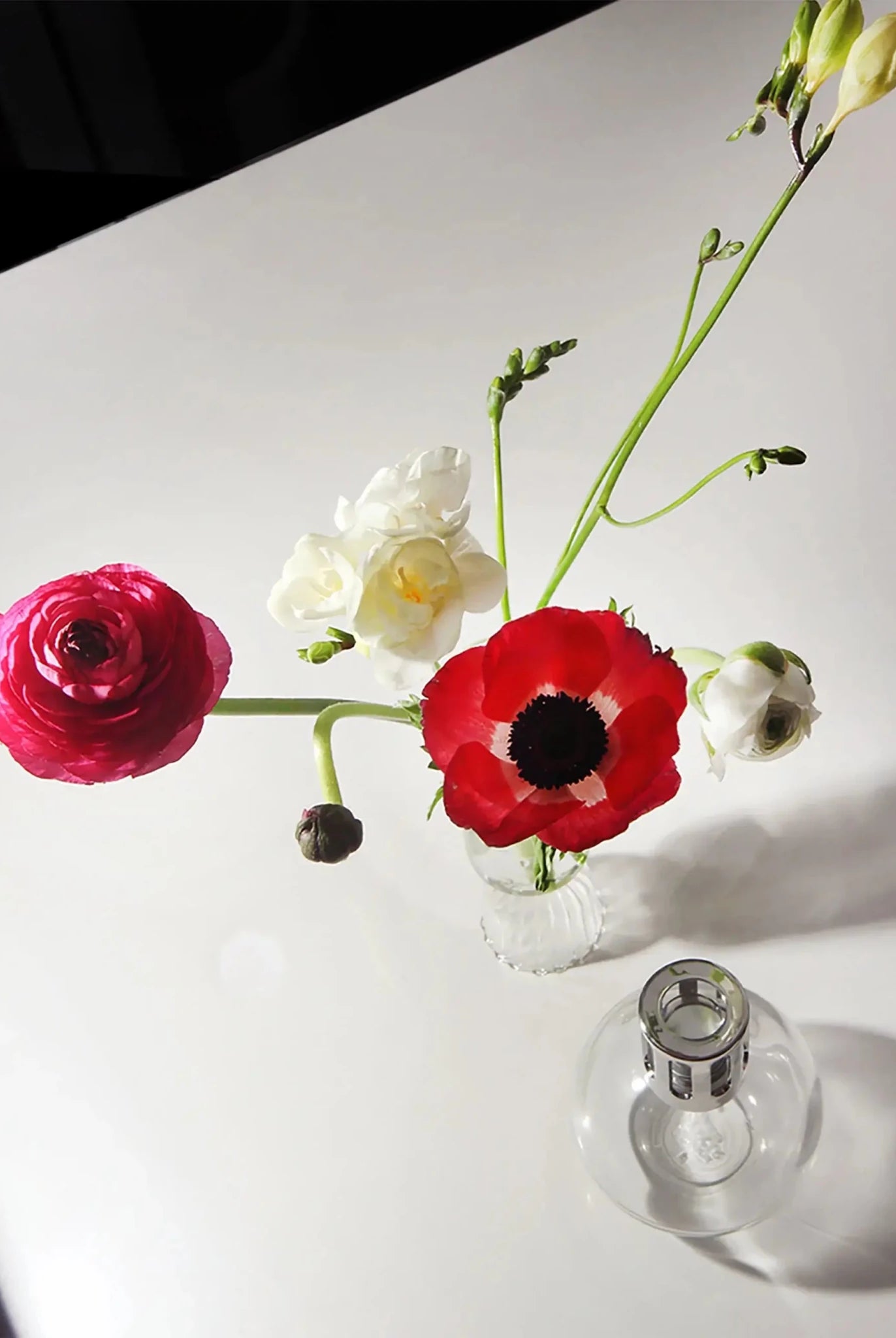 Maison Berger Paris Fragrance Lamp Starter Kit – Round Glass with lamp and fragrance bottles lifestyle photo