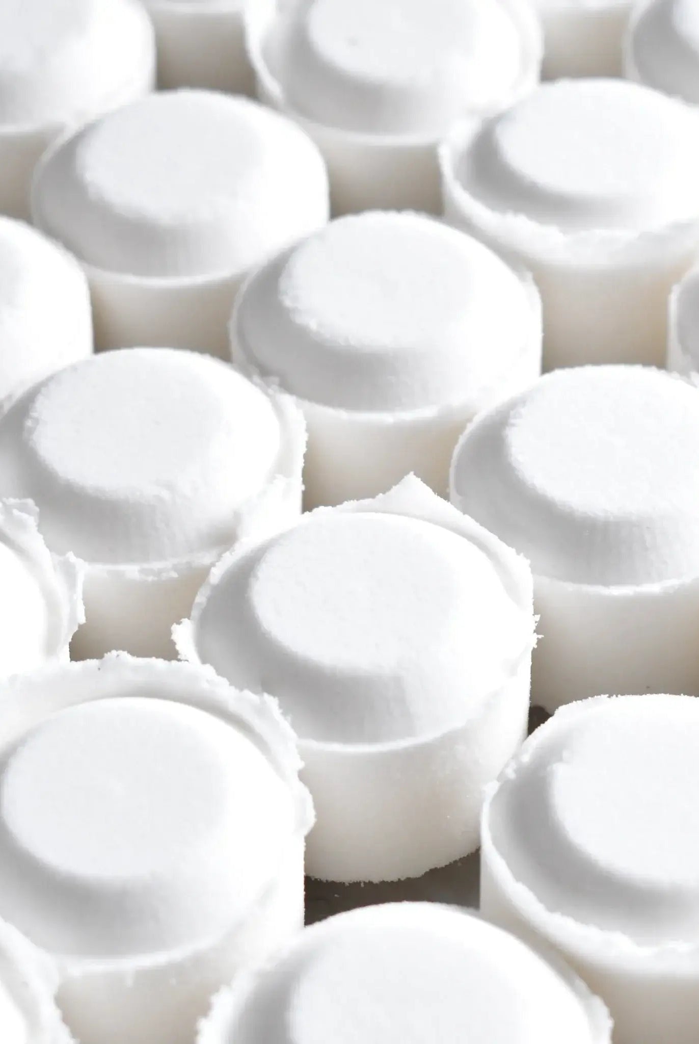 Close-up of white shower steamers, part of the Shower Steamer 2pk Lemon Lavender, ready for a spa-like experience.