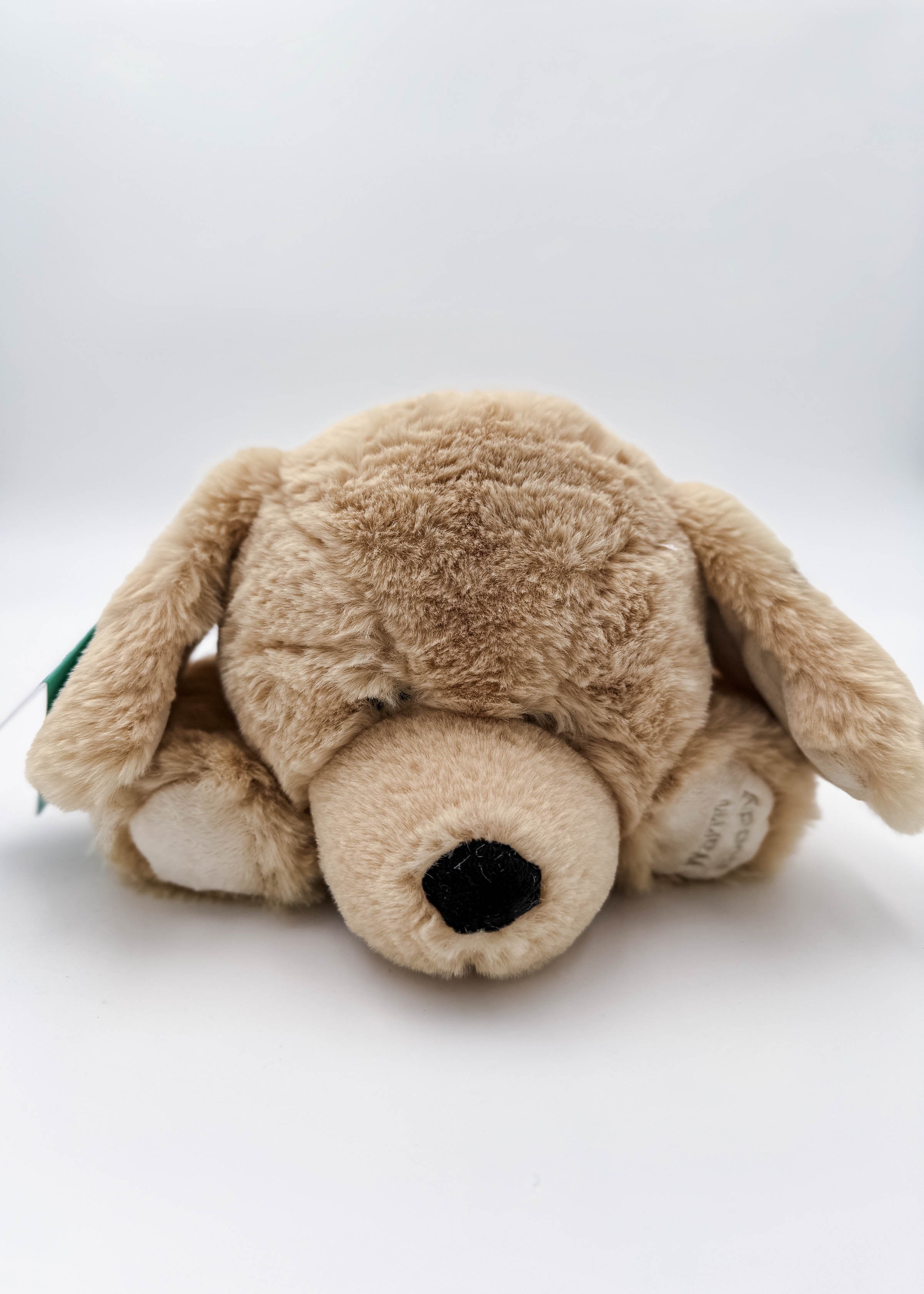 Warm Buddy Cuddle Buddy Tan Lab Puppy 18" Heat Up Stuffed Animal therapeutic heat up beige dog weighted showing the nose and fur texture