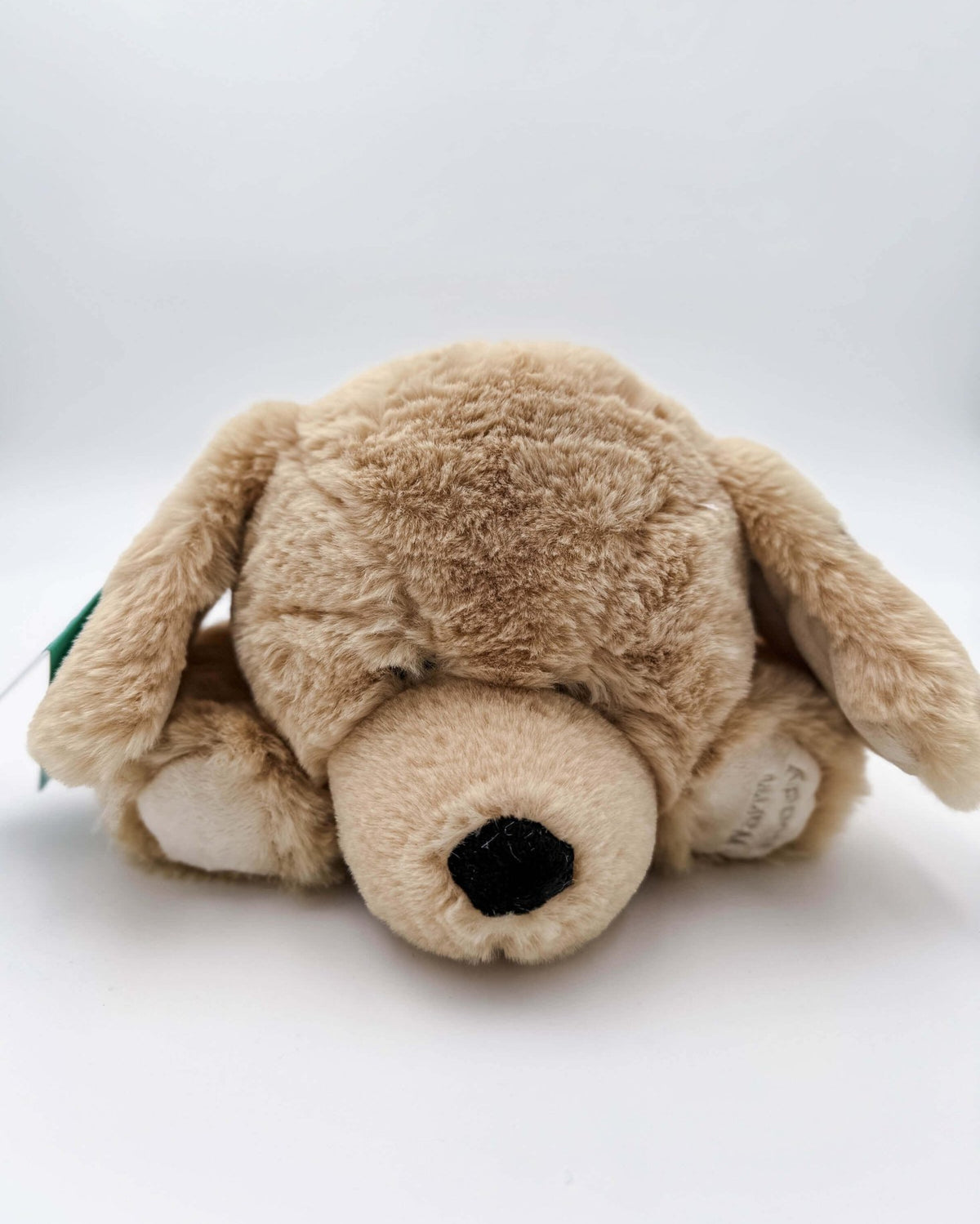 Warm Buddy Cuddle Buddy Tan Lab Puppy 18" Heat Up Stuffed Animal therapeutic heat up beige dog weighted showing the nose and fur texture