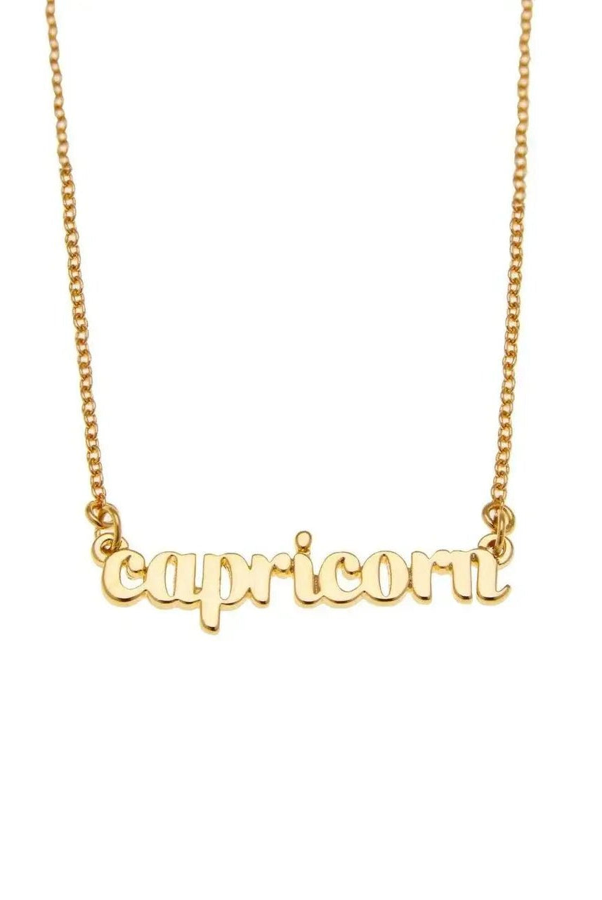 Zodiac Script Necklace in 14K Plated Gold featuring the word 'capricorn' on a delicate chain.
