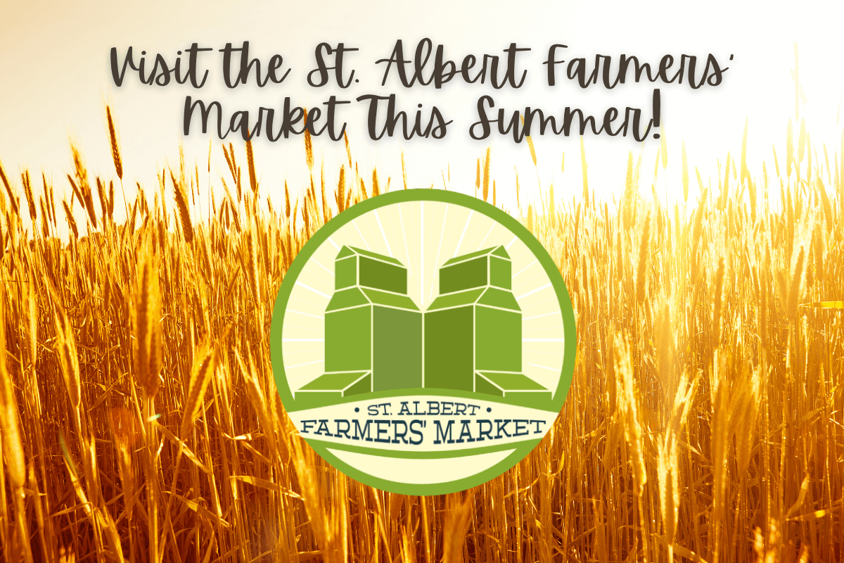 Explore the St. Albert Farmers' Market This Summer - Cloud Nine Pajamas
