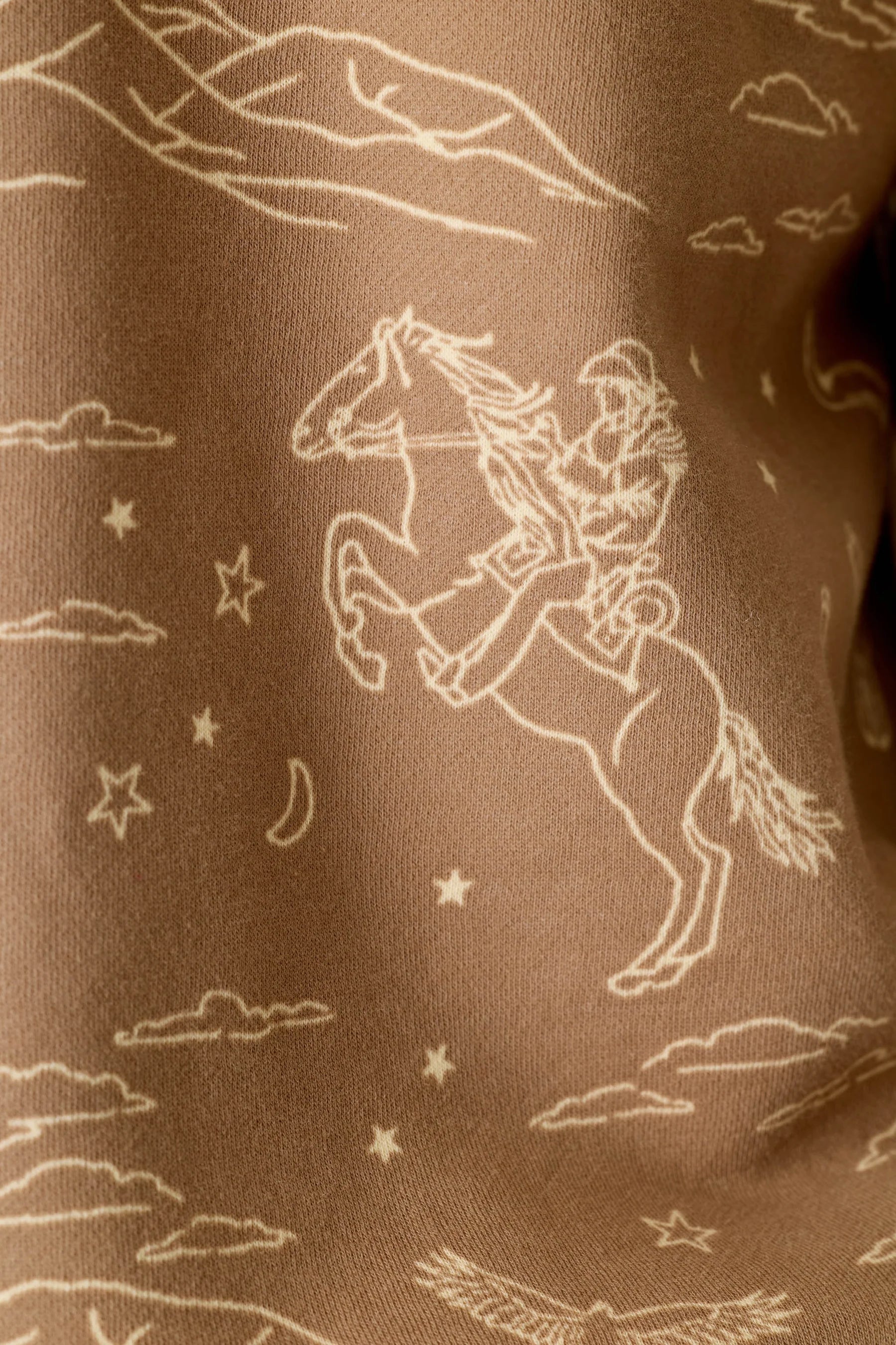 PJ Salvage Western Ways Truly Taupe brushed fleece fabric swatch — Cloud Nine Pajamas