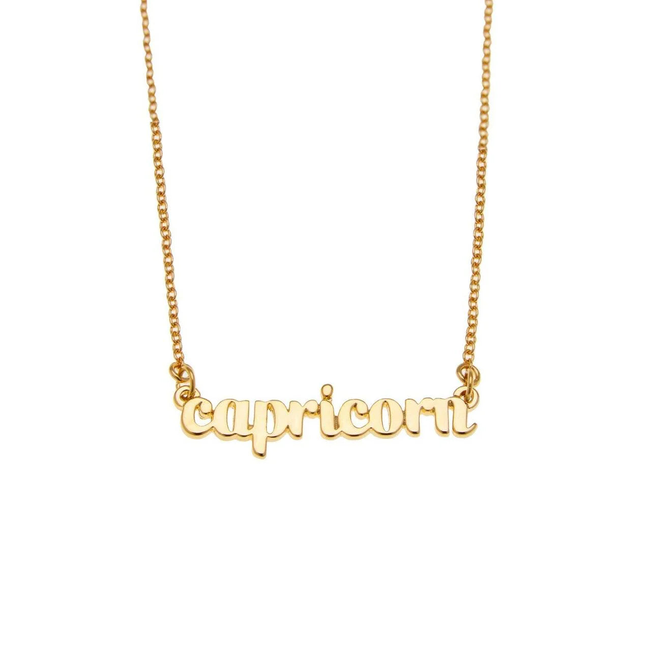 Zodiac Script Necklace in 14K Plated Gold featuring the word 'capricorn' on a delicate chain.