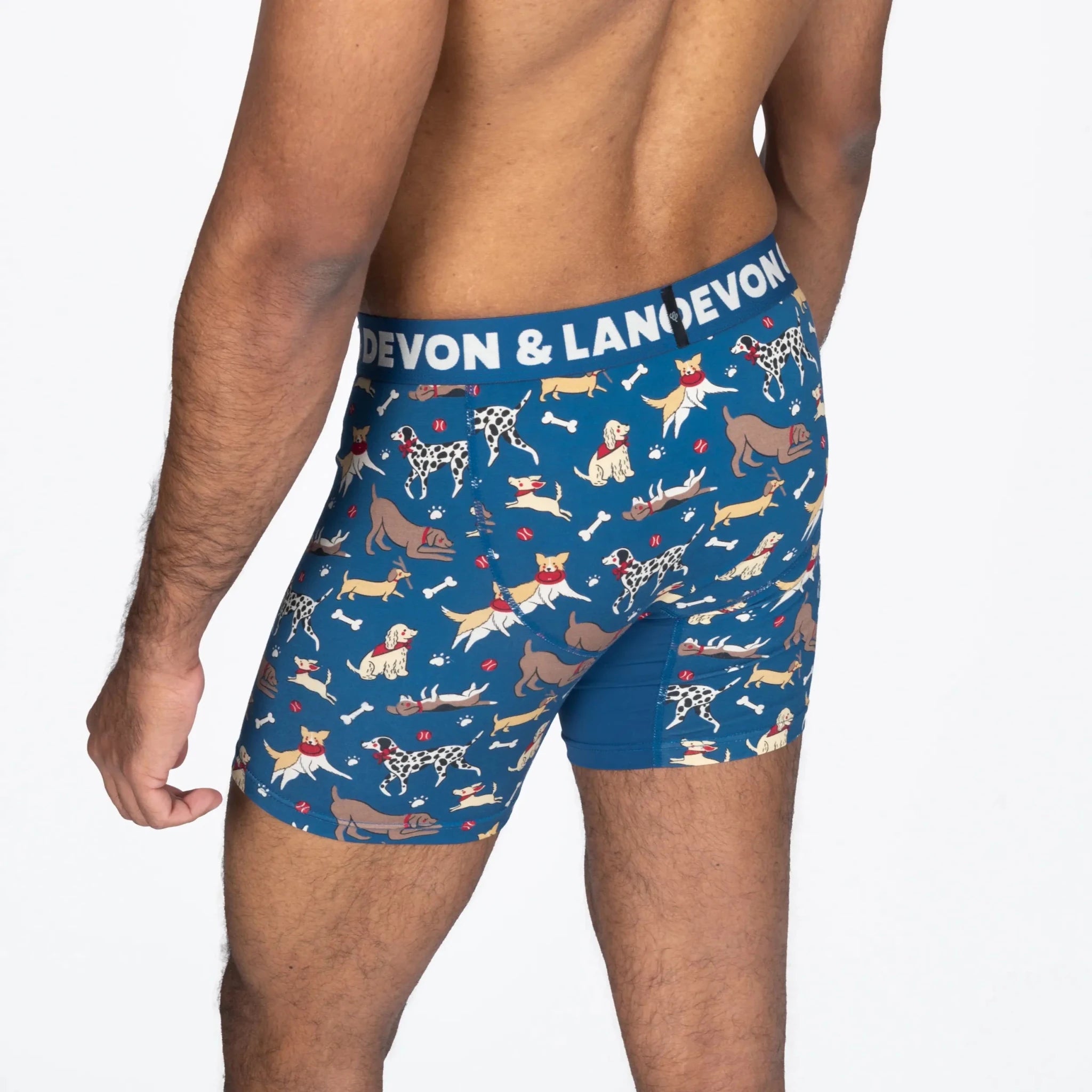 Devon + Lang Journey Boxer Brief | 6" Inseam | Men's Modal Underwear -Devon + Lang- Cloud Nine Pajamas
