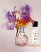 Maison Berger Paris Disco Fragrance Lamp Gift Set featuring a pink lamp and fragrance bottle.