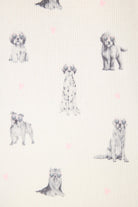 My Dog is my Valentine Peachy Jersey Jogger Set PJ Salvage features playful dog illustrations in heart sunglasses.
