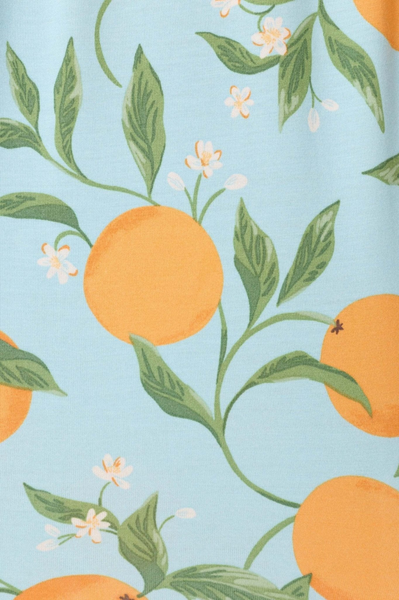 Citrus Dreams Morning Blue Print PJ Salvage 2026