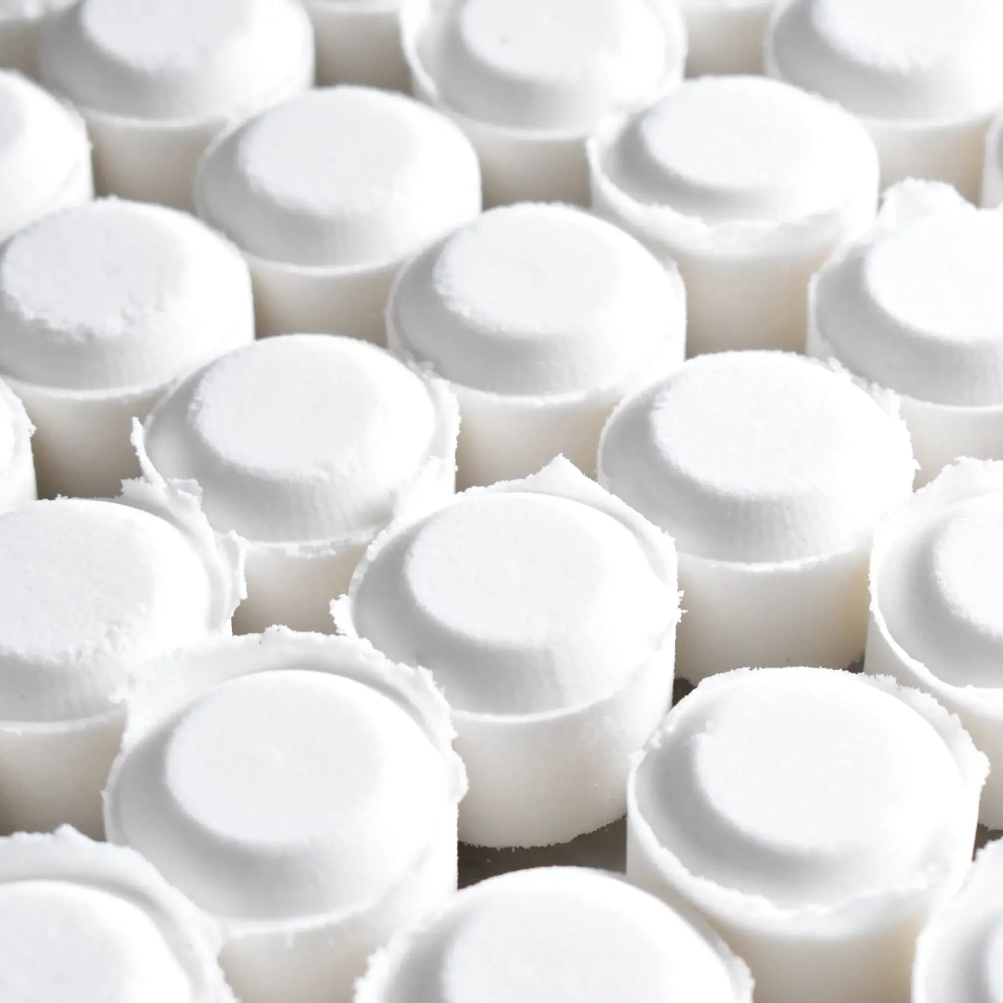 Close-up of white shower steamers, part of the Shower Steamer 2pk Lemon Lavender, ready for a spa-like experience.
