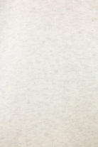 Solid light gray color swatch